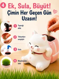 Kedi Çim Kiti – Boya, Ek, Büyüt - Kedini Yetiştir