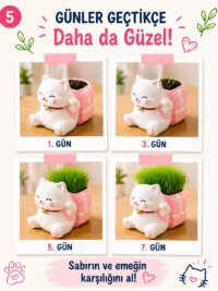 Kedi Çim Kiti – Boya, Ek, Büyüt - Kedini Yetiştir