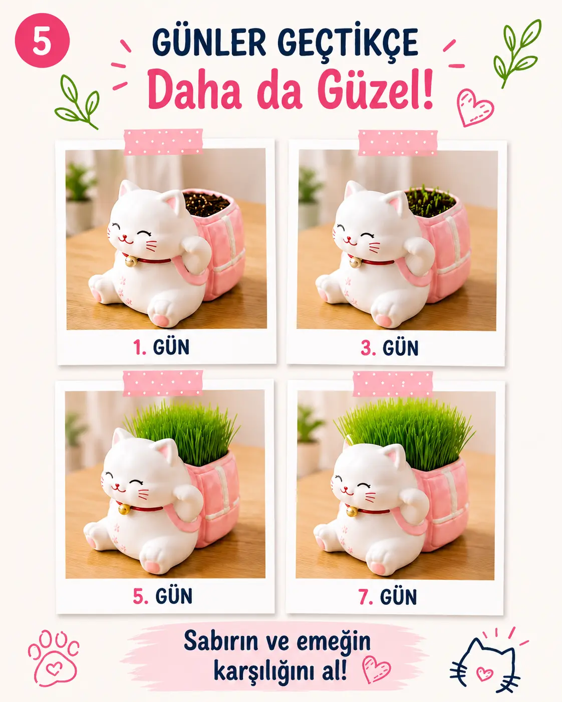 Kedi Çim Kiti – Boya, Ek, Büyüt - Kedini Yetiştir - Görsel 5