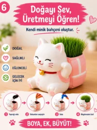 Kedi Çim Kiti – Boya, Ek, Büyüt - Kedini Yetiştir