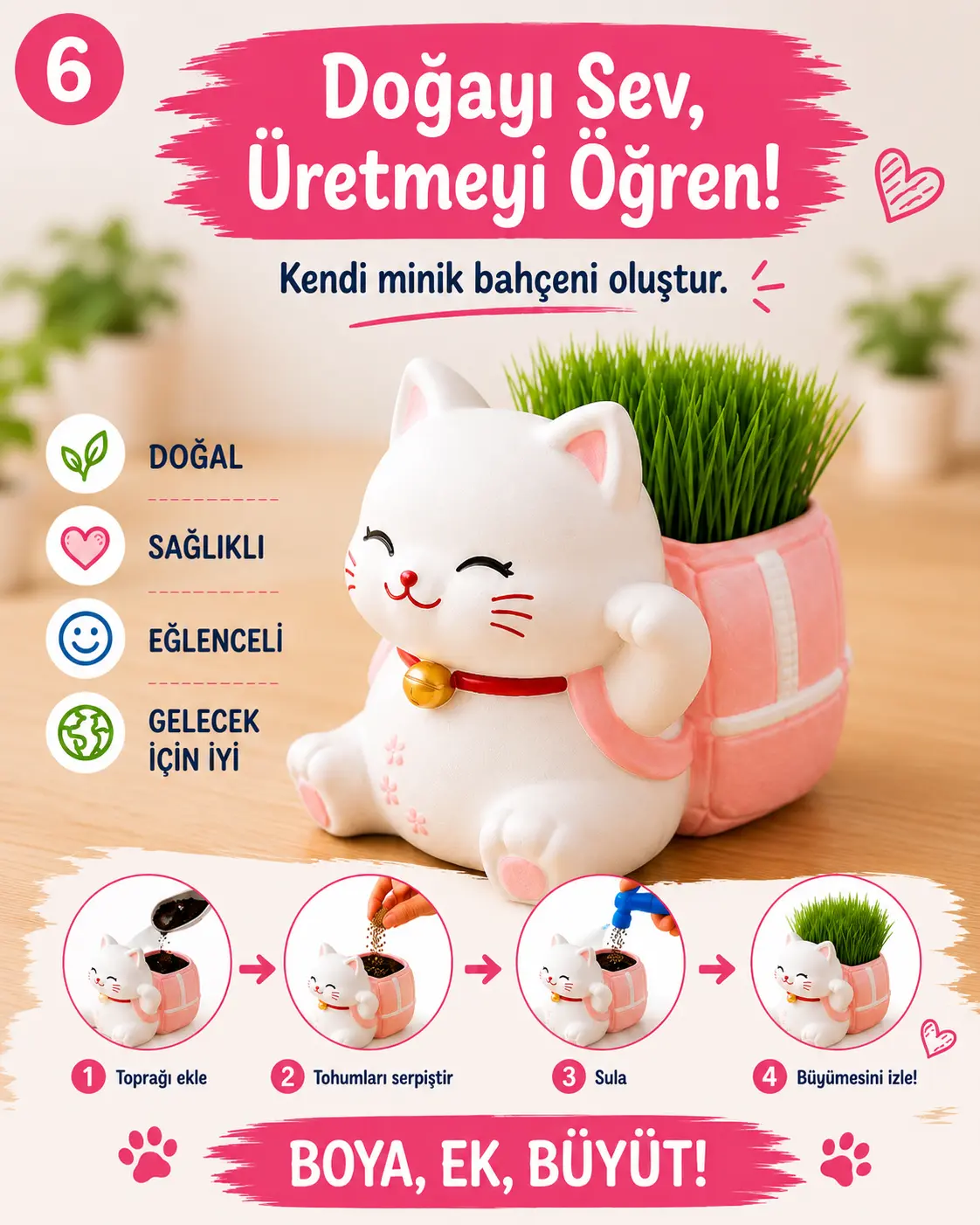 Kedi Çim Kiti – Boya, Ek, Büyüt - Kedini Yetiştir - Görsel 6