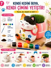 Kedi Çim Kiti – Boya, Ek, Büyüt - Kedini Yetiştir