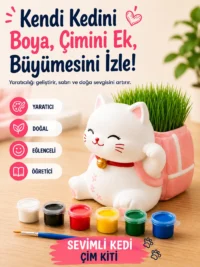 Kedi Çim Kiti – Boya, Ek, Büyüt - Kedini Yetiştir
