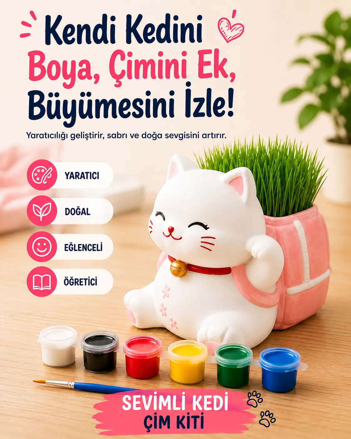 Kedi Çim Kiti – Boya, Ek, Büyüt - Kedini Yetiştir