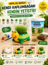 Kaplumbağa Çim Kiti ve Boyama Sanat Seti