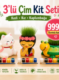 3’lü Çim Kit Seti – Boya, Ek, Büyüt | Kedi, Kız ve Kaplumbağa