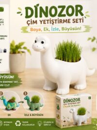 Dinazor Çim Kiti